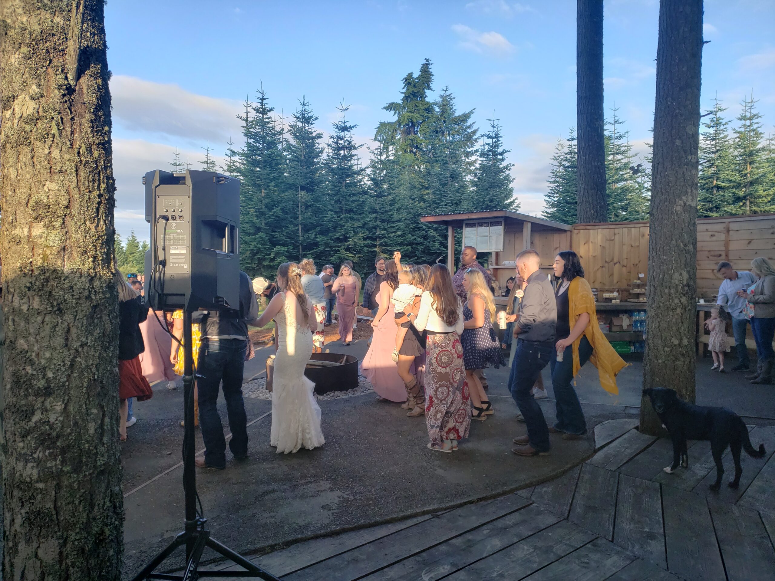 Wedding And Reception In St. Helens Oregon (7-16-2022)