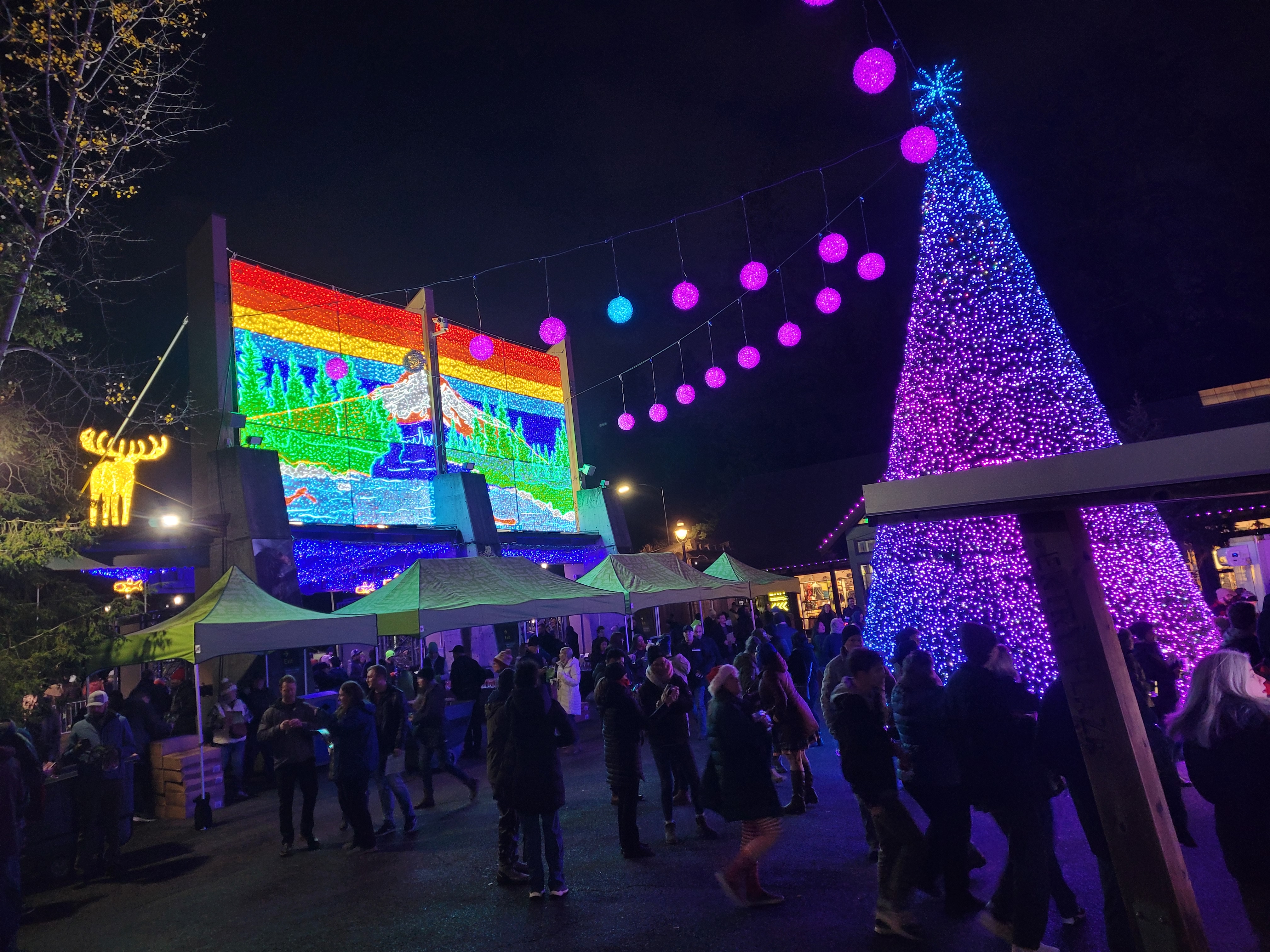 Oregon Zoo BrewLights (November 2024)