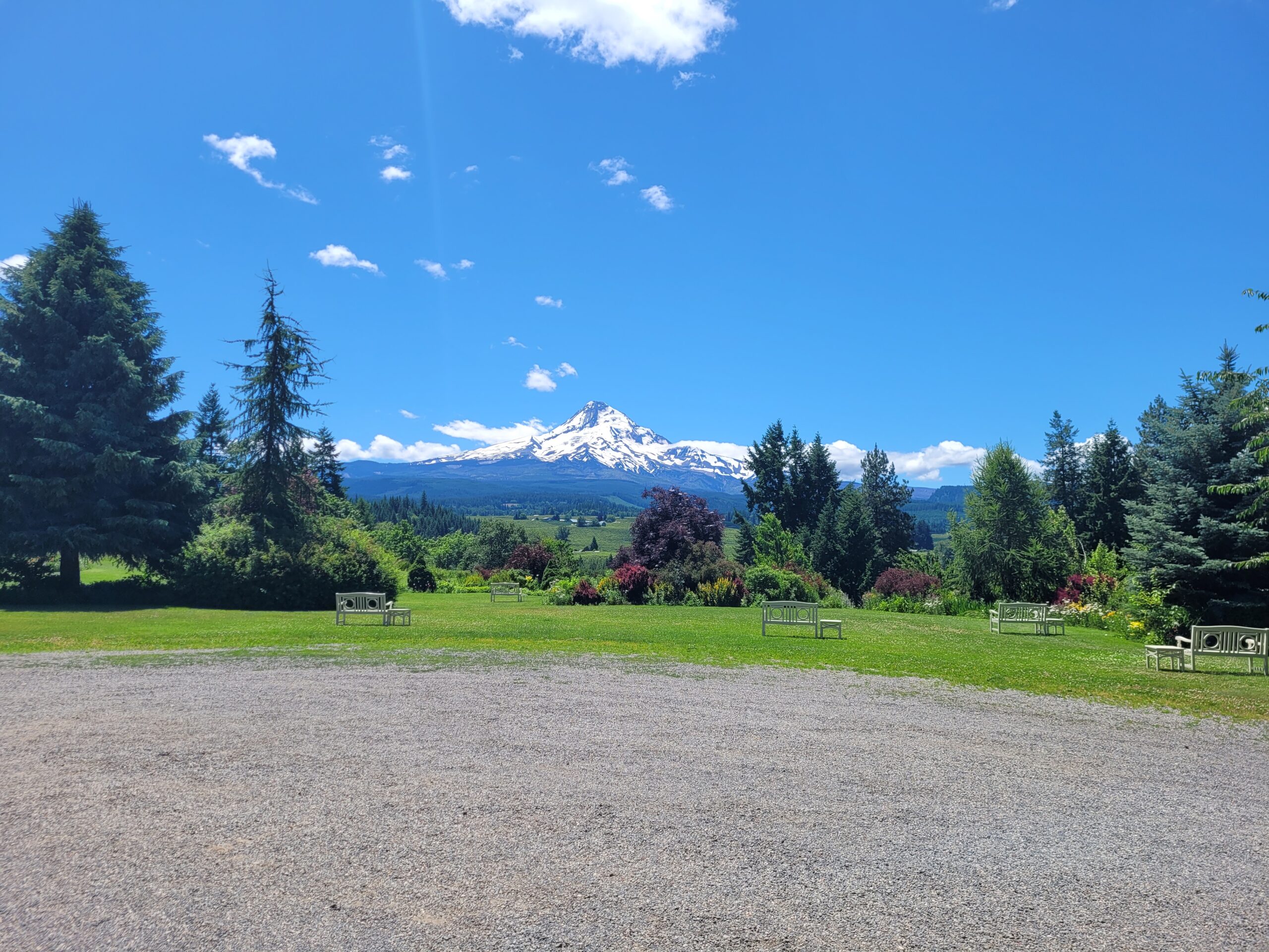 Mt. Hood Organic Farms Wedding (June 28, 2025)